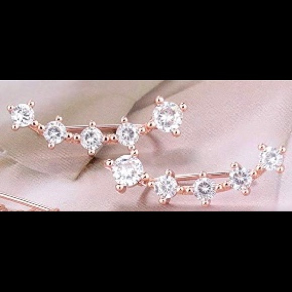 HP🔥🌹Beautiful 🌹Crystal Climber Earrings 🌹NWT🏷 - Picture 7 of 10